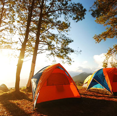 Продвижение сайта кемпинга «Сосновый берег»